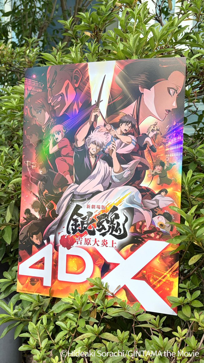 HoldingsSmg's tweet photo. <신극장판 은혼: 요시와라 대염상>
영롱한 4DX 포스터 실물 전격 공개🔥
9/9(수)부터 4DX 관람 시 선착순 증정!
지금 바로 CGV에서 예매하고
반짝반짝 홀로그램 포스터 GET 하세요✨
#은혼 #신극장판은혼 #요시와라대염상
#9월9일4DX대개봉 #CGV4DX https://t.co/HHevVb11gk