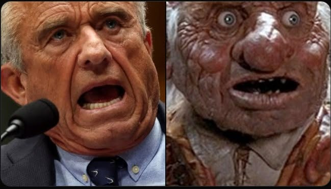 HillbillyHighl1's tweet photo. Separated at birth: https://t.co/sE9wwCbYrZ