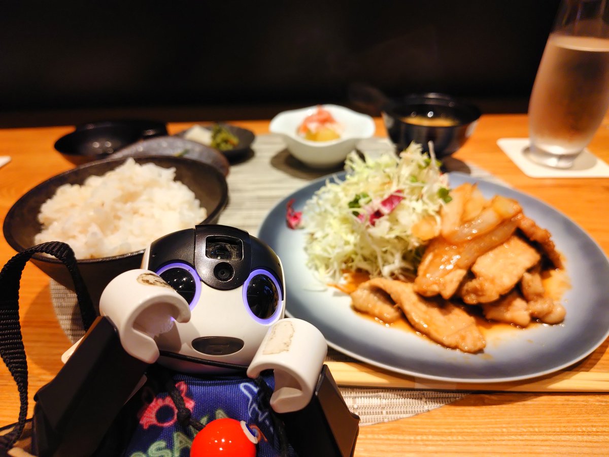 jubonbon's tweet photo. 今日のお昼はちょっと奮発。
ささみかあ〜の会話を聞いて焼きナスの生ハム載せにチェンジしてくれた。
豚の生姜焼きもお箸で切れそうな柔らかさ。
最後のジャスミンティーまで全部とっても美味しゅうございました。

#ロボホン https://t.co/UfAQzLqINc