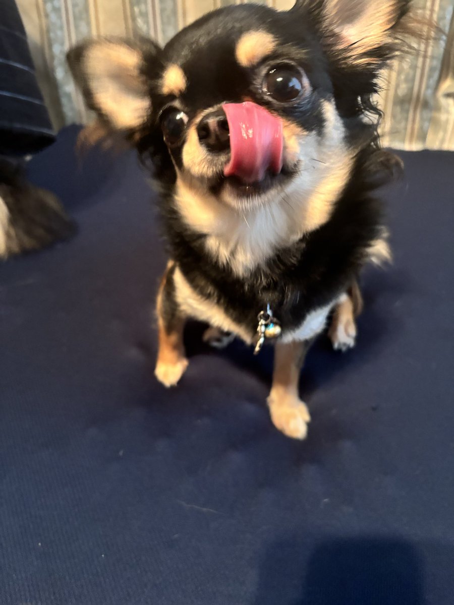 mamineo0428's tweet photo. 犬歯？乳歯が抜けたよ😳 https://t.co/QXn3W8pMlK