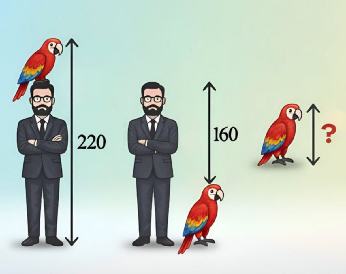 strength_km's tweet photo. Si vous pouvez résoudre ce problème en 10 secondes, vous êtes un génie !

Quelle est la hauteur du perroquet en centimètres ? https://t.co/VCIEQOMStV