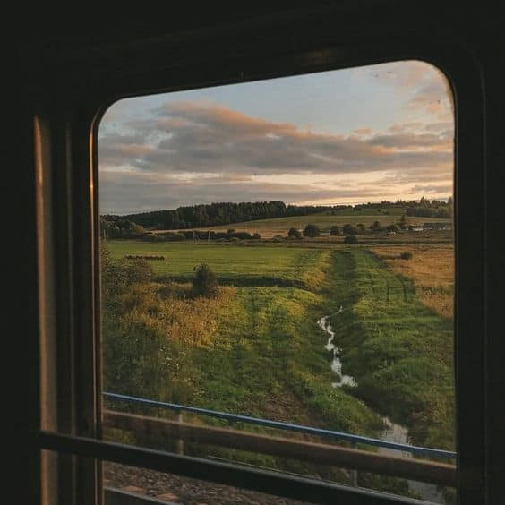 artindetails's tweet photo. the beauty of country life https://t.co/QG85ZFx3zn