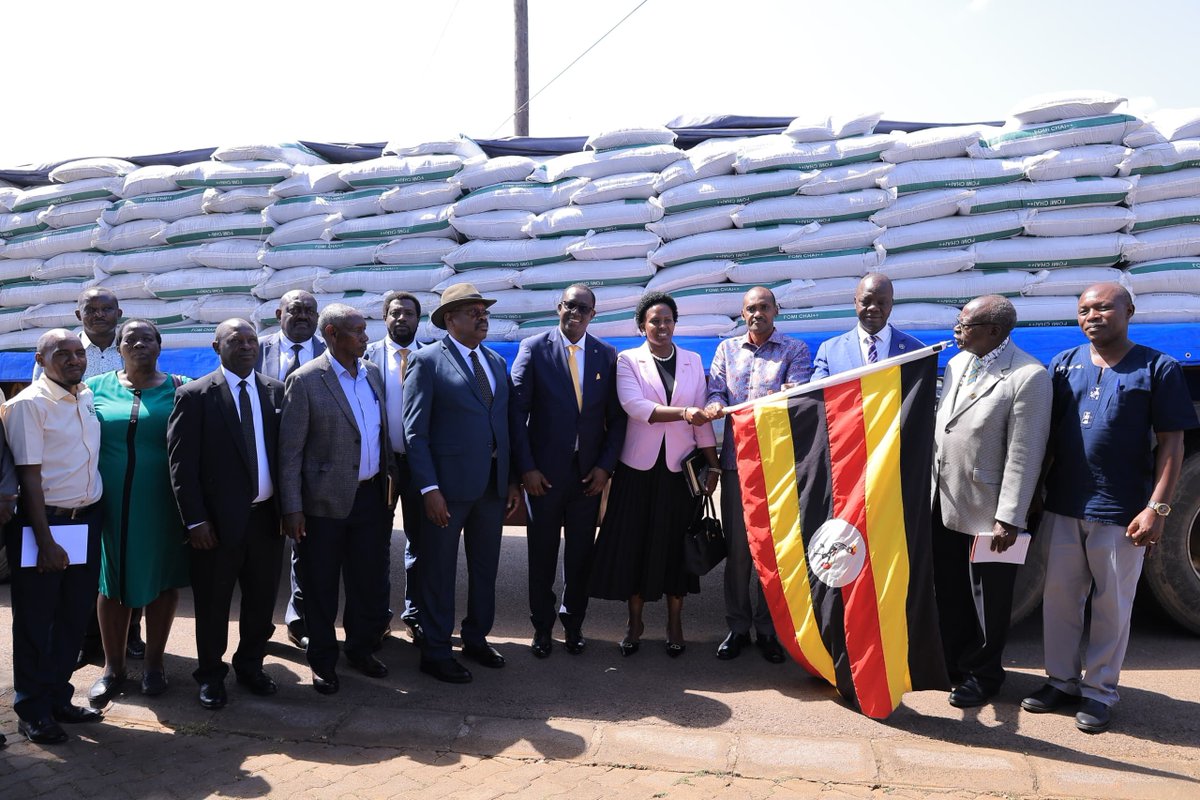Maaifclf's tweet photo. Government Rolls Out Free Fertilizers to Boost Farmers Under PDM

The Ministry of Agriculture, Animal Industry and Fisheries has launched nationwide fertilizer distribution to help farmers take advantage of the ongoing rains and boost production under the Parish Development Model.

Hon. Frank Tumwebaze said Cabinet directed an immediate rollout, targeting key crops including coffee, tea, cocoa and other strategic commodities. 

The first phase is free of charge, with a small farmer contribution expected in the next phase for sustainability.

He urged extension workers to prioritise smallholder farmers, especially in coffee and tea, and noted that the President has directed Itracom to establish a fertilizer plant in Uganda for timely access.

PS Maj. Gen. David Kasura‑Kyomukama highlighted agriculture’s strong performance, contributing 26% of GDP in 2024/25, with coffee alone earning $2.21 billion. 

He said this intervention aims to increase production, strengthen strategic value chains and support households under the PDM. 

Cocoa, maize, fruits, vegetables and tea also posted significant export gains.