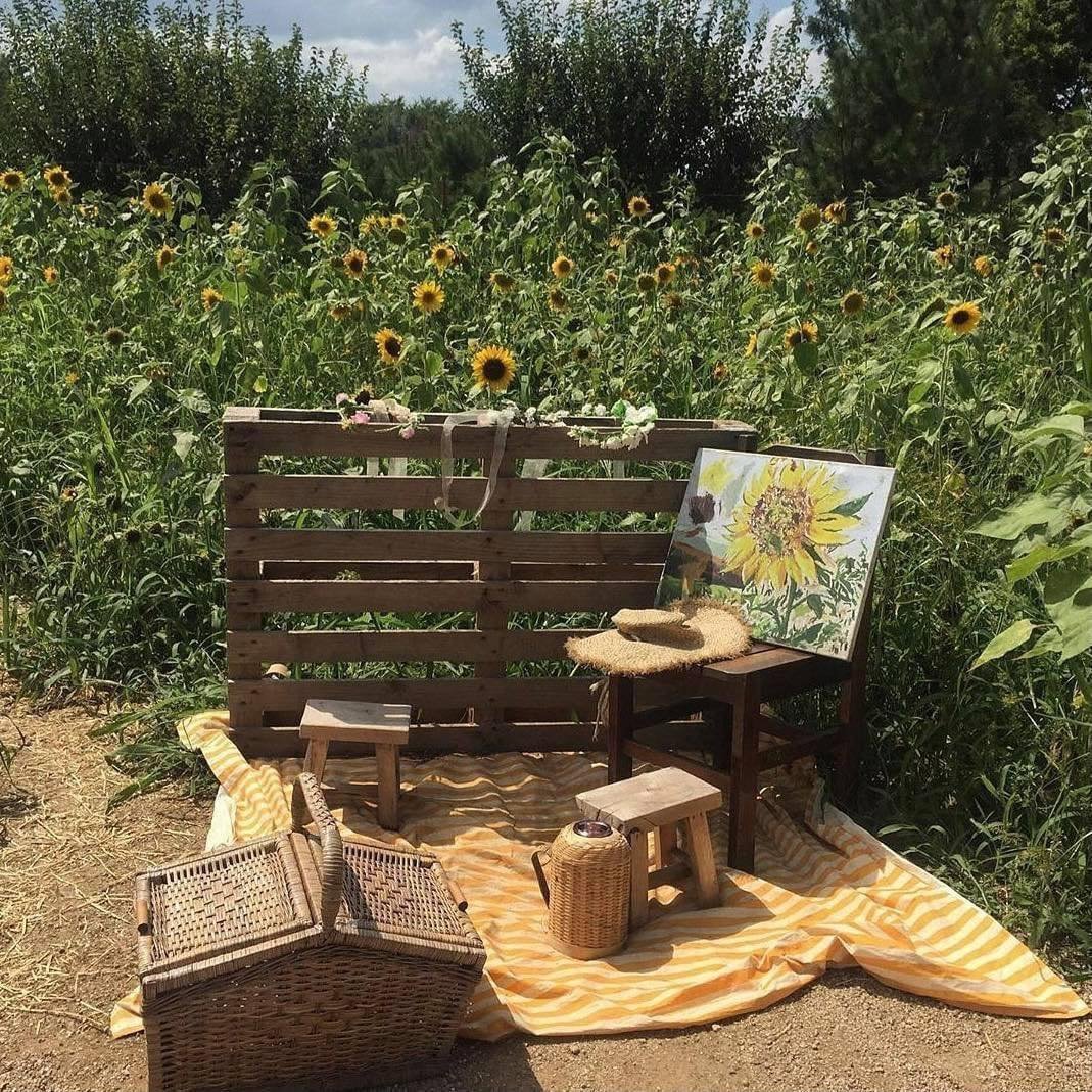 artindetails's tweet photo. simple life https://t.co/TUCzTPnC2u