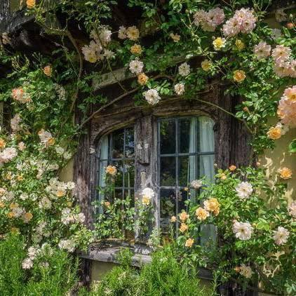 artindetails's tweet photo. simple life https://t.co/TUCzTPnC2u