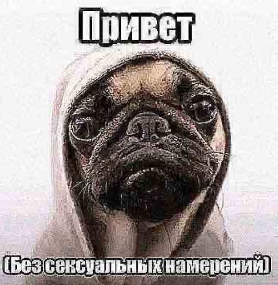 Tempters_S0ul's tweet photo. я потерялась седня в новой школе https://t.co/6bm272eRHI
