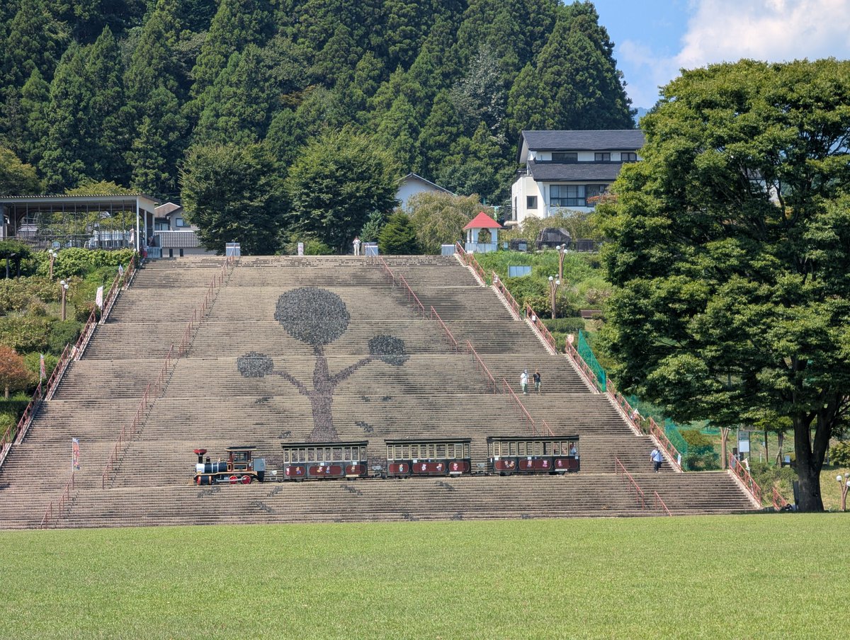 yamanami_center's tweet photo. 🌿９月🌿ロードトレインミーヤ号に乗ってぐるりと周回‼️運行日が限られております🙇‍♀️‼️グラススライダーは500円で30分すべり放題😁‼もちろん大人も😆エクササイズになります😎１日楽しんでください🎵
#公園　#ロードトレイン #グラススライダー https://t.co/ikg8L1s3bc