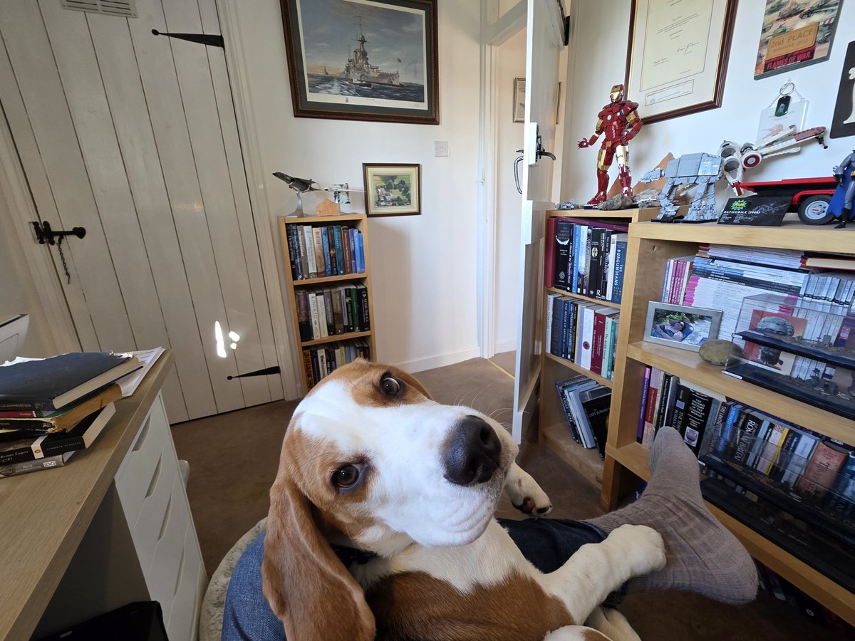 SimonElliott20's tweet photo. Not much writing being done by The Happy Archaeologist about Marcus Aurelius at the moment! Time for morning hugs with Der Kaiser!!! @pete_savin @romanarchaeouk @Ritterton @DariusAryaDigs @AndanteTravels @penswordbooks @iconbooks https://t.co/dRsORFpbWP