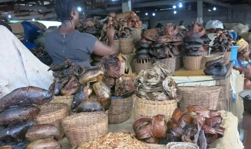 237online's tweet photo. #Cameroun : le formol et les raticides vendus au marché comme du sel: Une pincée de mort aux rats entre les tas de piments, les bidons de formol alignés à même le sol à côté des étals d’épices. Franchement, difficile de… https://t.co/nBAKms7c2P #Société #formol #marchésCameroun https://t.co/cmozuATX1E