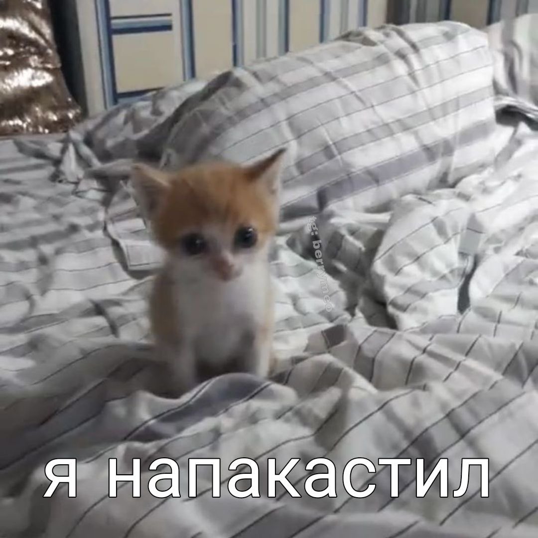 monaoqdy's tweet photo. У меня появилось резкое отвращение к еде.Как это контрить,на меня орать скоро будут😕 https://t.co/914jBubGUG
