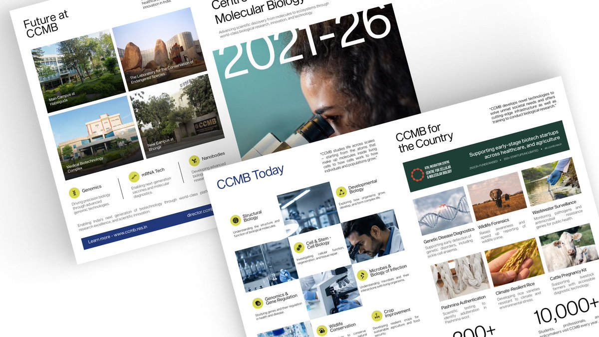 devoz07's tweet photo. Brochure design project

Built through a mix of editorial design, information design and art direction with a few physical mockups to bring it to life. https://t.co/pOvCMESRpk