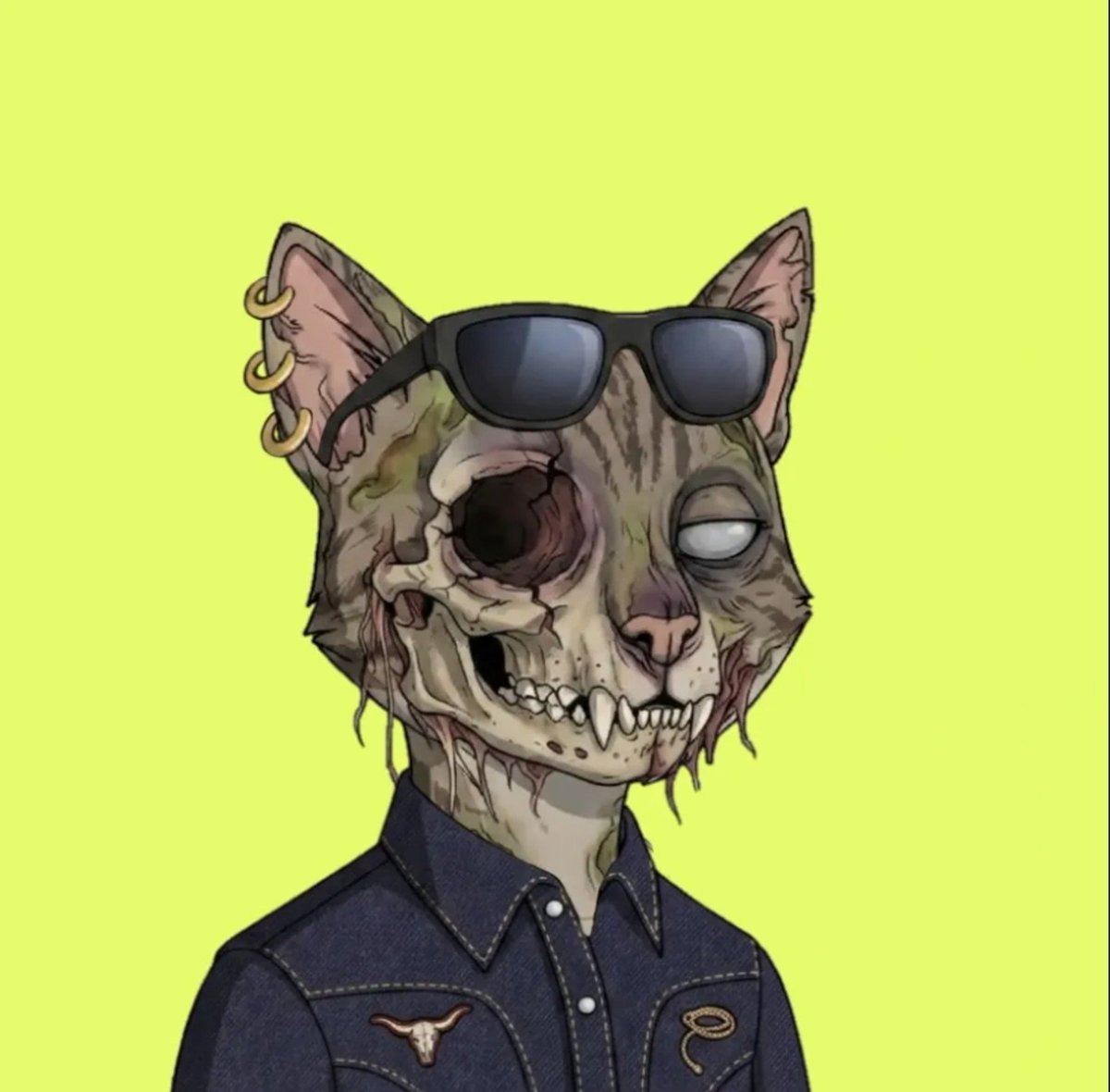 monkethNFT's tweet photo. The art of this @BoredCatsLC are the sickest one I ever seen in a long time, I love them🔥

#robinhood #nft #BCLC #cats #opensea #best https://t.co/9Gr4IIToa3