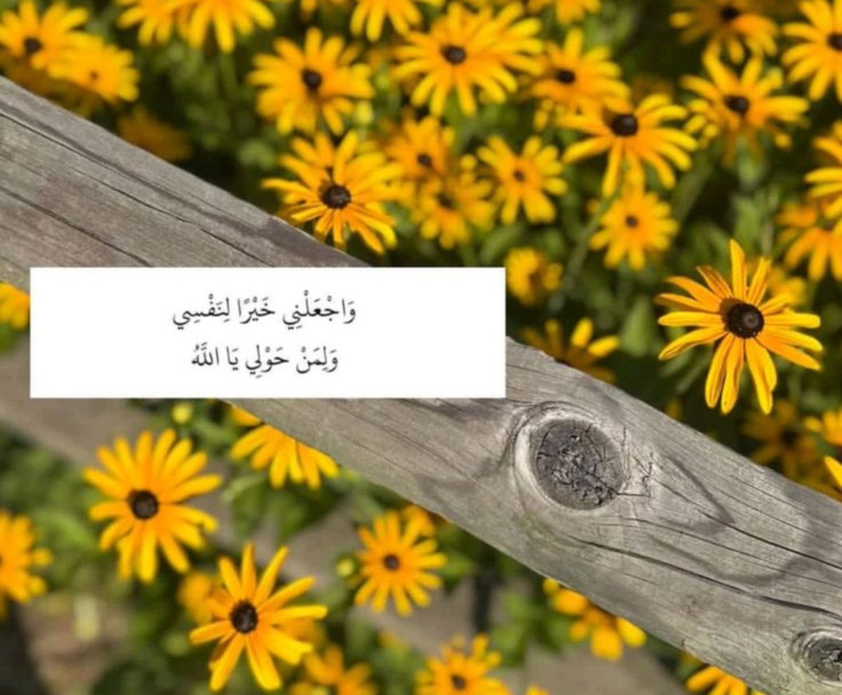 1l7l_ tweet picture