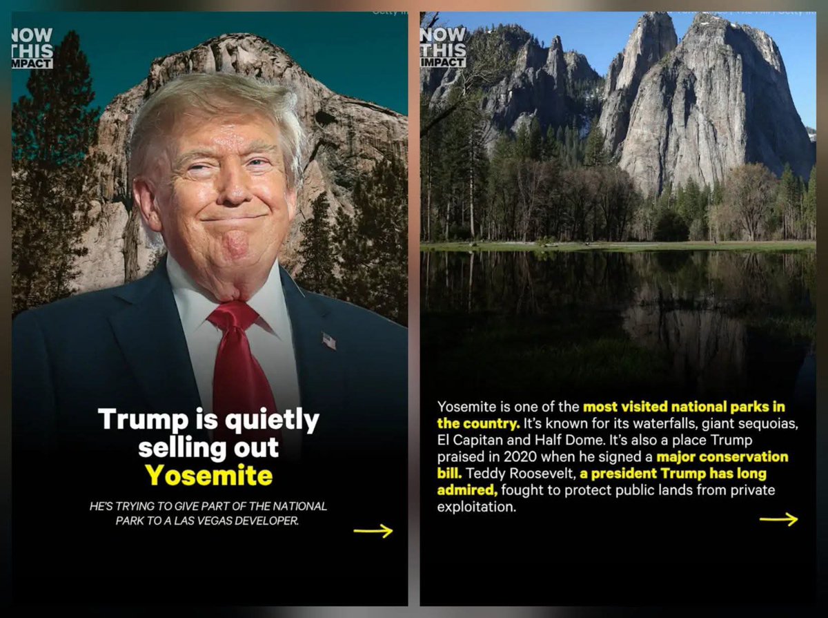 meliorist59's tweet photo. @bkaydw #HandsOFFYosemite
#LockHimUpAlready 
#8647NOW 
#GOPDestroyingTheUSA https://t.co/QbsxNfK36s