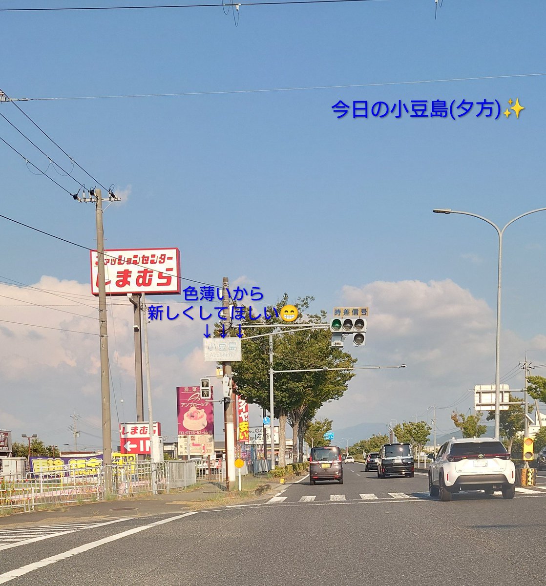 maruru_farm's tweet photo. @teiai3rd 今日の小豆島です✨ https://t.co/HTmqoeYlDF