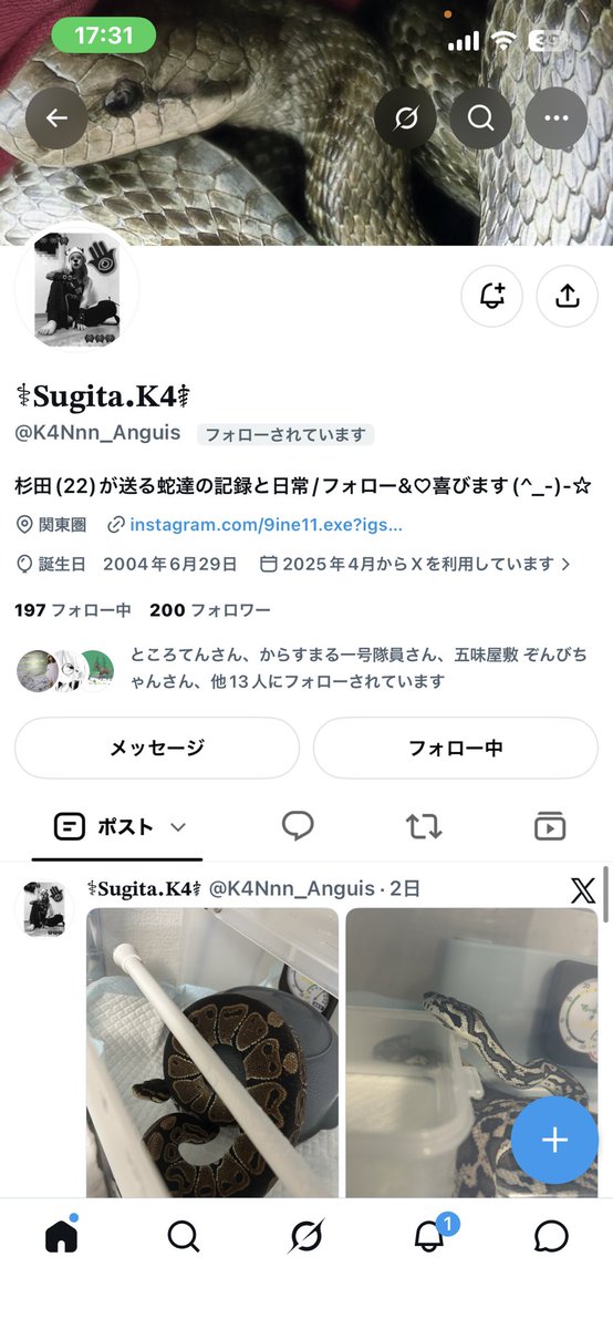 K4Nnn_Anguis2's tweet photo. 前垢ログインできなくなったので最初からです🙇‍♀
#カーペットパイソン #蛇 #蛇好きさんと繋がりたい #爬虫類好きさんと繋がりたい https://t.co/u17hLix4yR