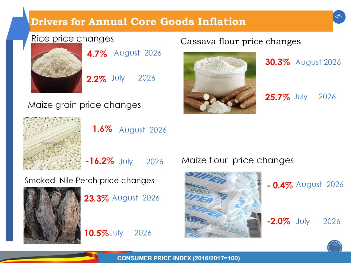 StatisticsUg's tweet photo. As per the August annual Inflation findings , there has been a notable increase in price for items such as rice,maize grain, Nile perch, cassava flour and maize flour. 

Relatedly, the price of Matooke, Irish potatoes, mangoes, and pineapples have realised an increase in price. 
#InflationUganda 
#InflationAug2026 
#UBOSUpdates