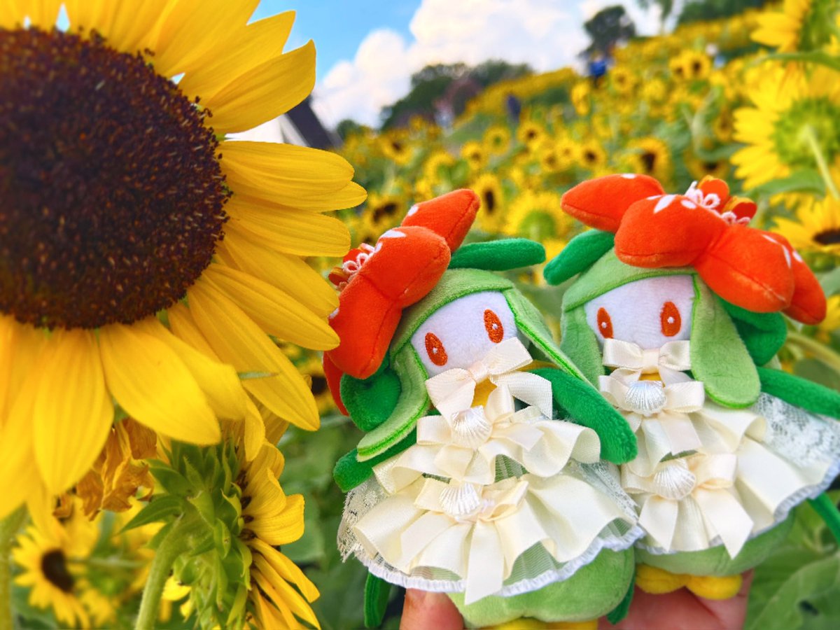 oriorikaori549's tweet photo. 8月31日 https://t.co/61toOvqBya