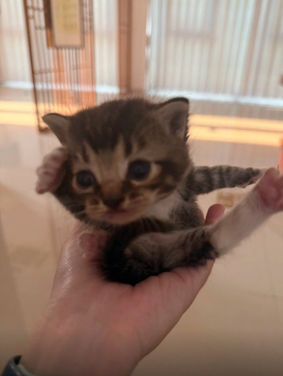 culKitten's tweet photo. https://t.co/zpX28y3CmO