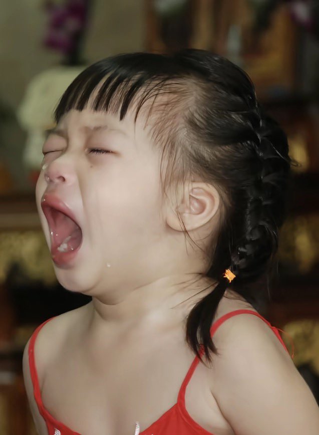 yiiiyi_11's tweet photo. เหมือนตอนเด็กๆ เลยค่ะ 5555 น่ารักจังนะคะ 

#pangjiewr https://t.co/lZwEUF70Jq