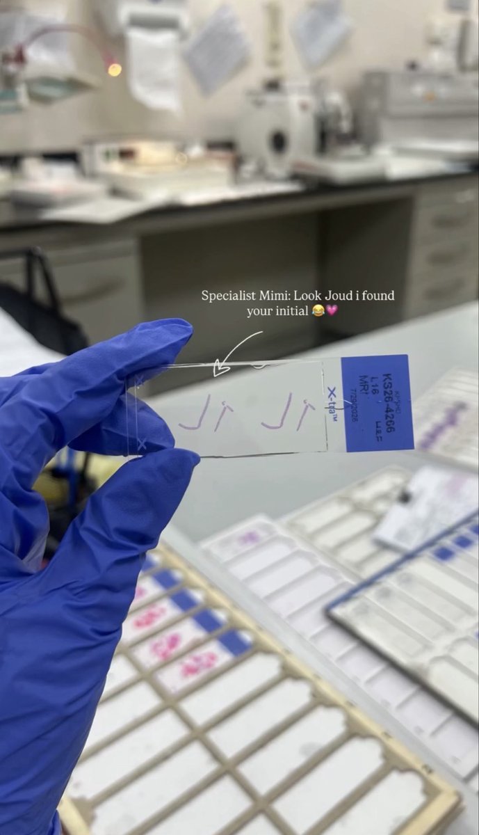 JoudMLS's tweet photo. Histopathology 🔬🤍. https://t.co/Ul2urkBRzR