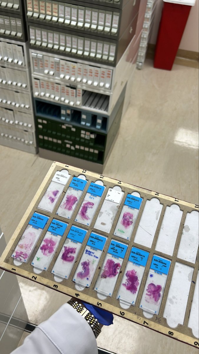 JoudMLS's tweet photo. Histopathology 🔬🤍. https://t.co/Ul2urkBRzR