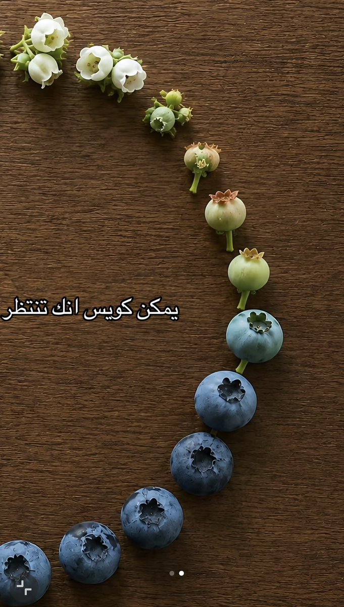 zahraafit's tweet photo. https://t.co/4g41ODpj9S