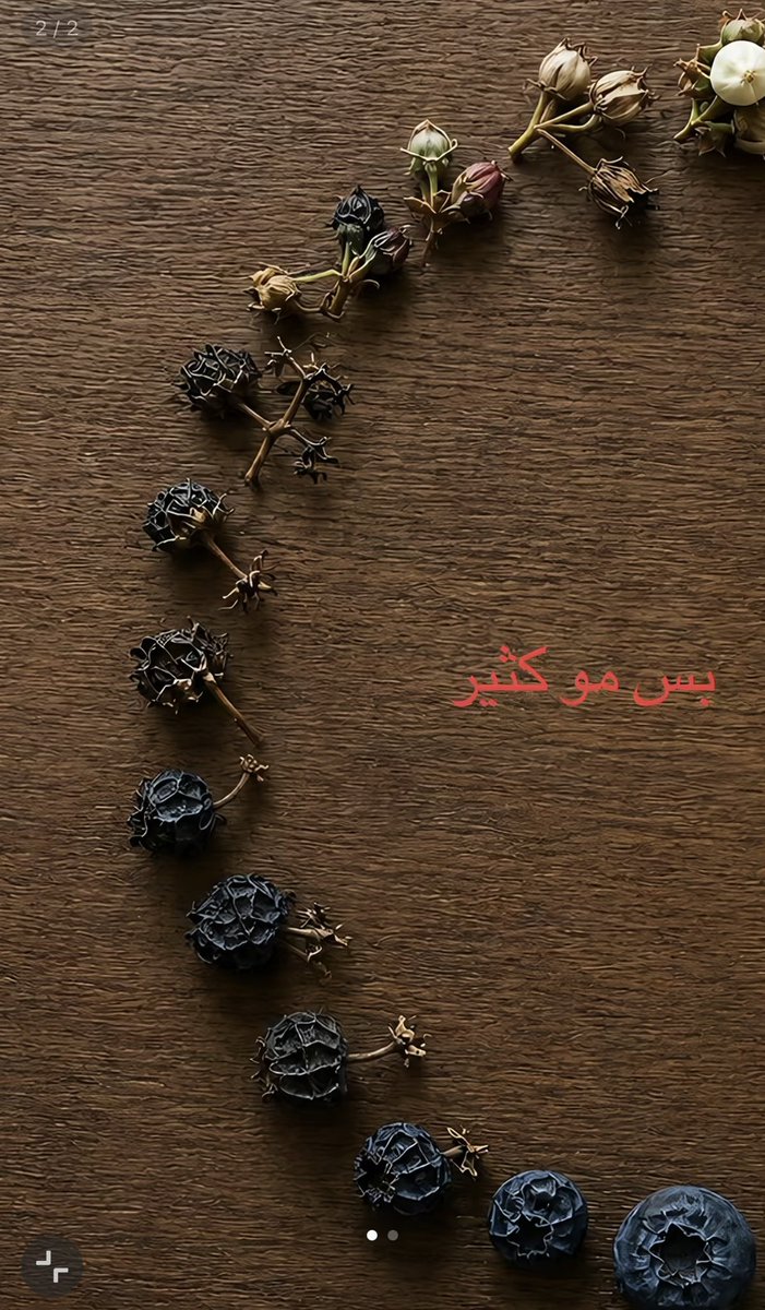 zahraafit's tweet photo. https://t.co/4g41ODpj9S