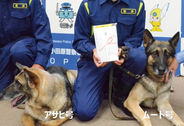 koinuno_heya's tweet photo. 【神奈川】
小田原警察署は8月20日、行方不明になった70代男性の早期発見に貢献したとして、直轄警察犬のムート号（オス・5歳）とアサヒ号（メス・8歳）を表彰。#話題犬・子犬

📰タウンニュース
https://t.co/DqwFoG5zZr https://t.co/MO9uDLdFnQ