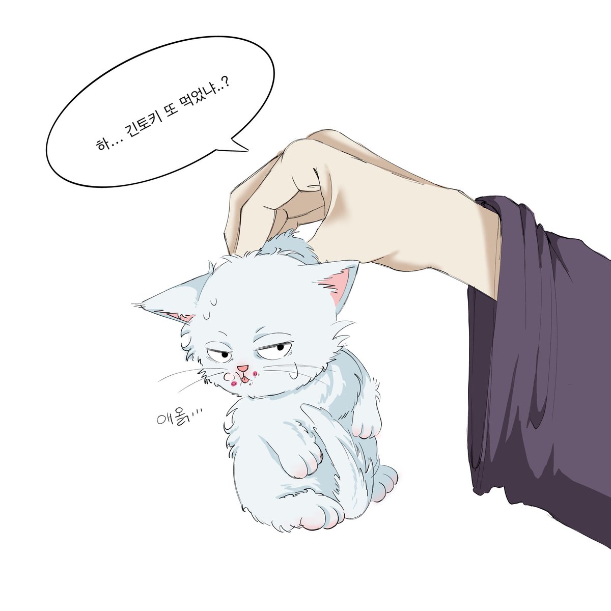 SkhSkhtevc12's tweet photo. 사카타 됏냥이 #타카긴 #tkgn https://t.co/rBYKYutlyd