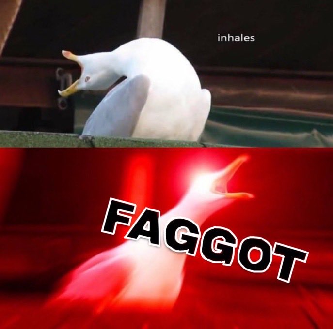 MagicMikeFL's tweet photo. @AntiWokeMemes https://t.co/pYj3CnTSFi