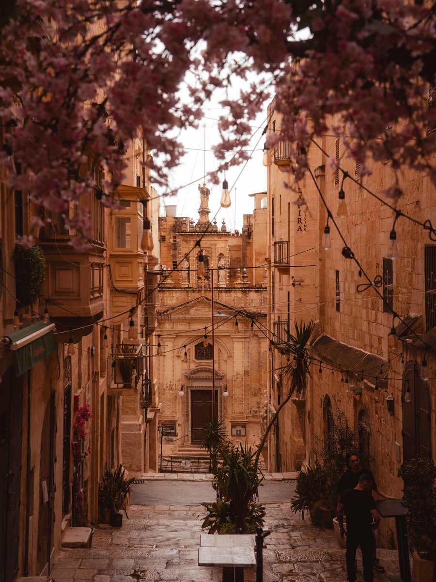 VisitMalta's tweet photo. A postcard moment in Valletta🩷 [📷 https://t.co/JTHWASOIxy]
#VisitMalta #Faith #Malta #Exploremore #instapic https://t.co/8ha7Ym9wF4