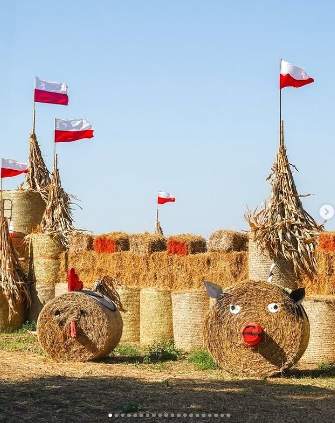 WojPawelczyk's tweet photo. The harvest season does not have to be boring and it surely is not boring in Poland.

Polish farmers have a great imagination: https://t.co/gHMZViKq1c