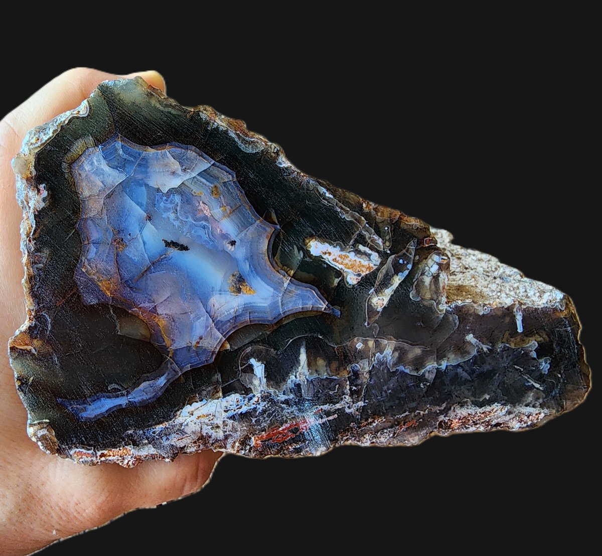 SrlGemstone's tweet photo. Large Fluorescent Agate Slab
#fluorescentmineral #agate #lapidary #uvlight #geology https://t.co/pfYczqoBDq