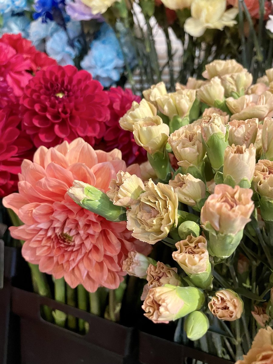 FlowerS48901380's tweet photo. 色とりどりのお花、入荷しています🌻店内には、季節を感じる素敵なお花が続々入荷中です✨おすすめはチューベローズです💕素敵な香りがして癒されます😆ぜひお気に入りのお花を探しに、お気軽にお立ち寄りください🌼✨皆さまのご来店をお待ちしております🙇‍♀️ #花屋 #近くの花屋 #水元 #季節のお花 https://t.co/CbONfSqhXr