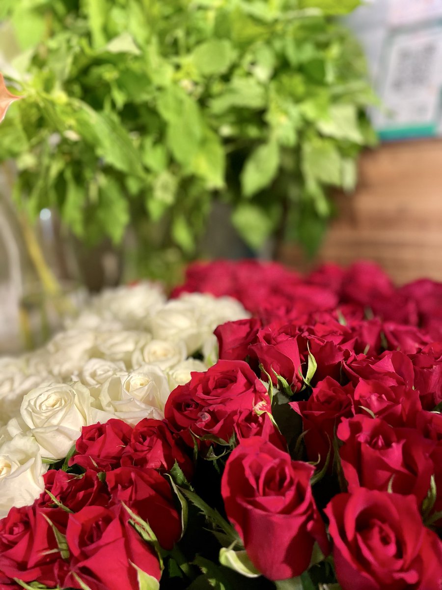 FlowerS48901380's tweet photo. 色とりどりのお花、入荷しています🌻店内には、季節を感じる素敵なお花が続々入荷中です✨おすすめはチューベローズです💕素敵な香りがして癒されます😆ぜひお気に入りのお花を探しに、お気軽にお立ち寄りください🌼✨皆さまのご来店をお待ちしております🙇‍♀️ #花屋 #近くの花屋 #水元 #季節のお花 https://t.co/CbONfSqhXr