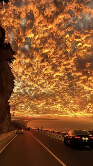 artindetails tweet picture