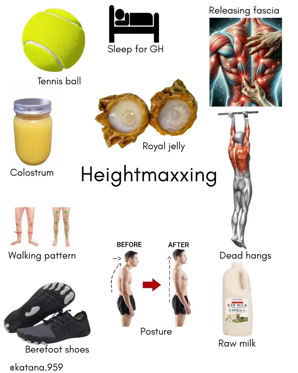 MagnusVigso's tweet photo. Heightmaxxing: https://t.co/MtxIjYX80R
