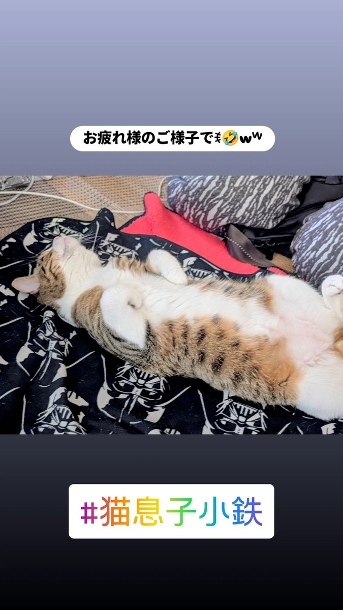 BuddieS20201204's tweet photo. 今晩は🌛*゜Buddie☆Sです🙇‍♂️⁡
⁡明日…9月1日火曜日から〜お通しお知らせ〜です🙇‍♂️⁡
⁡牛肉と厚揚げ豆腐(6種類のやさい入り)…茄子の煮浸し…マカロニサラダ⁡
⁡18時OPENで…皆様のお越しを、お待ちしております🫶⁡
⁡⁡
⁡ #二俣川  #barbuddies  #lgbtq  #mixbar  #誰でも  #猫息子小鉄 https://t.co/ySUKDNjouN
