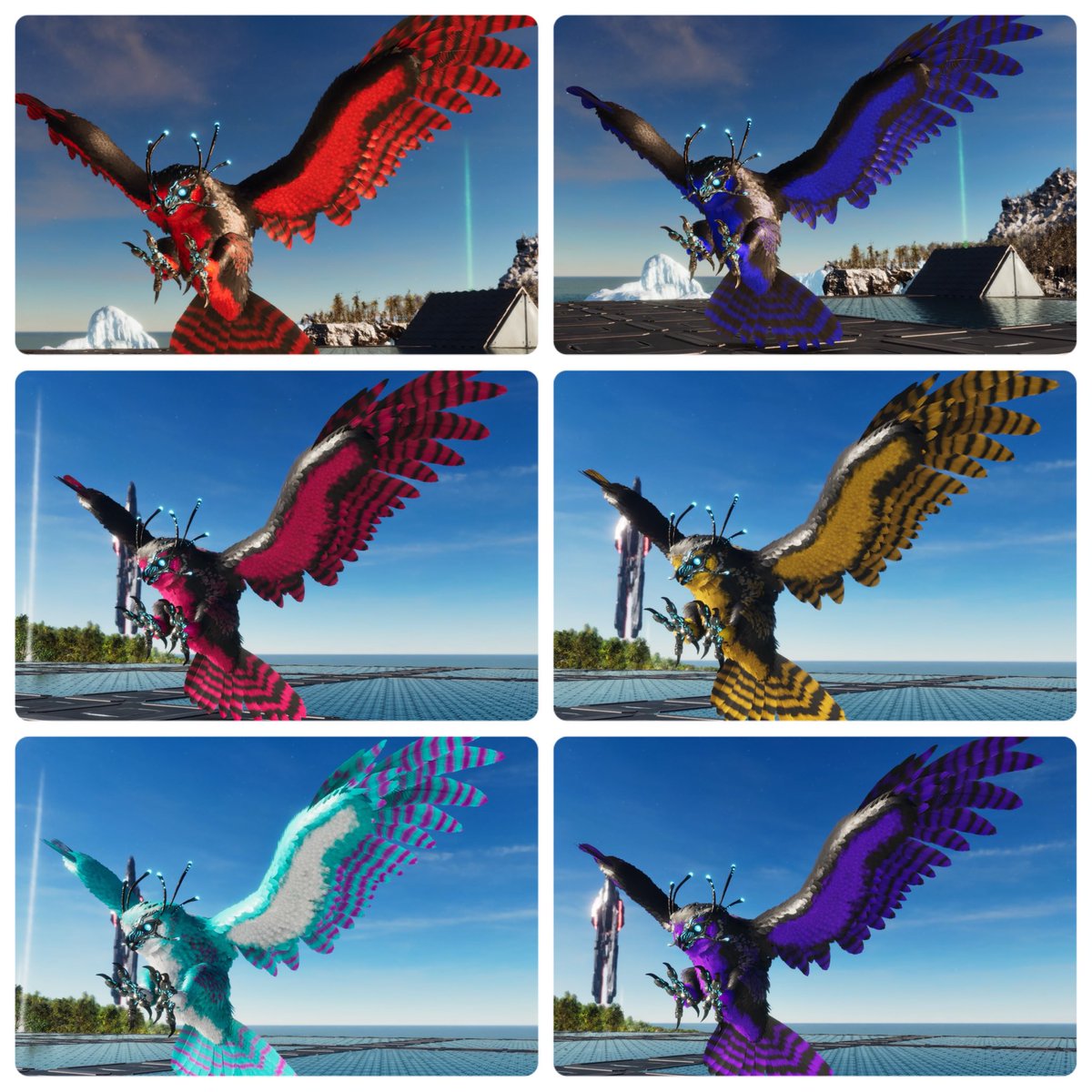 h_sk1280's tweet photo. 色々雪フクロウの統一とかツートン作って楽しんでたけど、やっぱりCC＋アルビノが個人的に1番好きだなぁ✨️
変異カラーの白系でもアルビノの方が白く感じるからやっぱりアルビノ最推し︎🫶 

写真以外にもたくさんカラー作ったから剥製土台置く場所が足りない…😇 https://t.co/YacRiDX91x