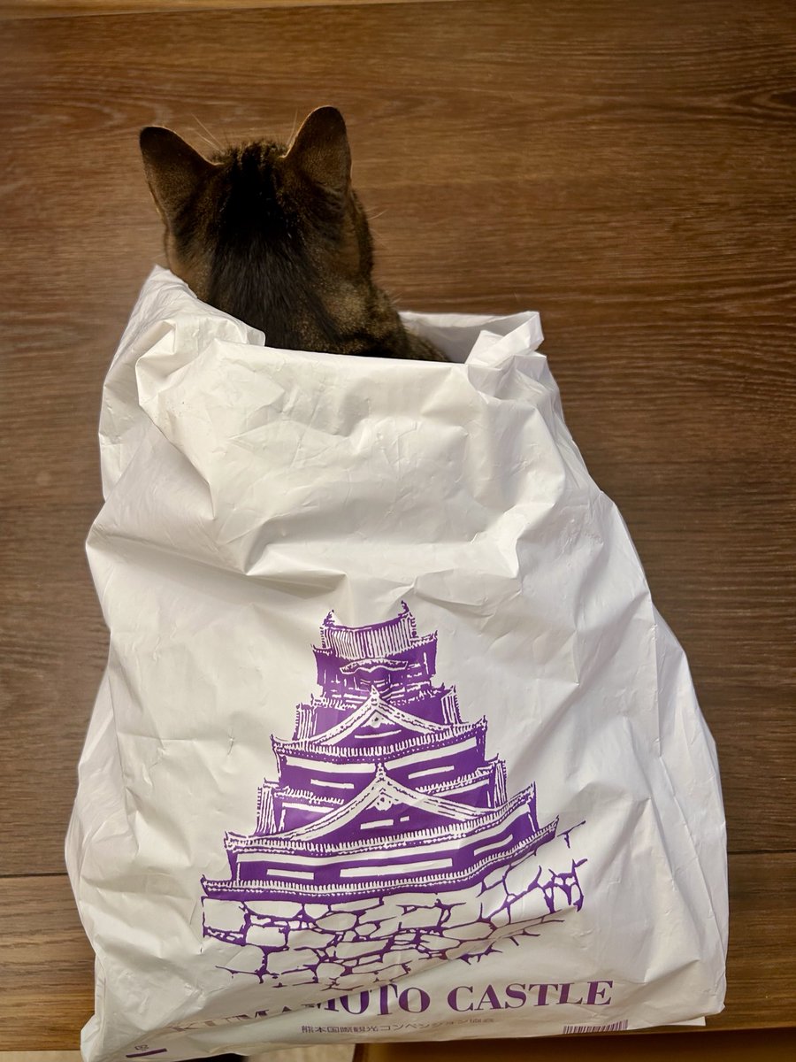 lion007's tweet photo. 法事で熊本に行った家人が
めずらしくお土産をたくさん買ってきた。
タマトモのものはなかったのだけれど
ちゃんと自分たちで
お土産を決めて楽しんでいました。 https://t.co/gfezss9cON