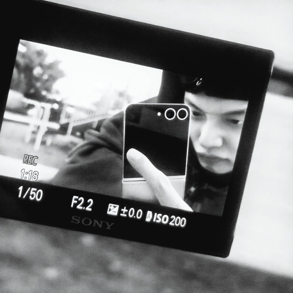 sybthm_txt's tweet photo. #모구모구 #모아트친소
 
모구플 막차좀 탈게요..ㅎ
모아된지 1300일 좀 넘은 연프모아에요
제 다섯 같이 예뻐해주실분 구해요..☆

♡-f
rt-dm
:)트친들 인알 해줘어°•☆ https://t.co/2vmf4M8oTs