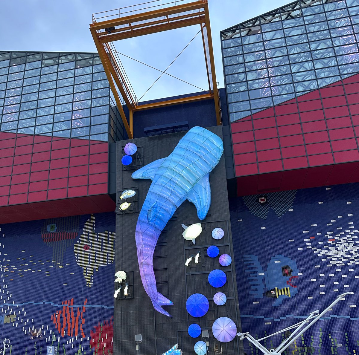 higu_mnst's tweet photo. 彼女と海遊館
🐟🫧🐟🫧🐟🫧🐟🫧🐟🫧 https://t.co/FHNrlt9rWx