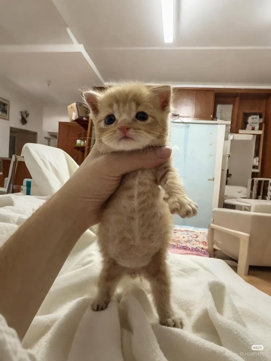 cutiebabebin's tweet photo. full of milk 🍼 https://t.co/yt1JPCt3KY