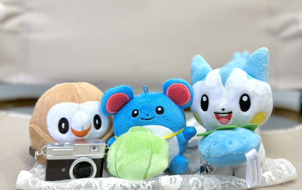 mokudenpy's tweet photo. おともだちのパチちゃんと📷 https://t.co/p6XsHJtFgQ