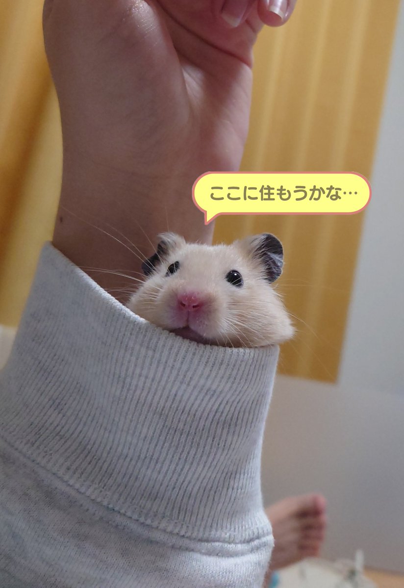 sume4_1006's tweet photo. https://t.co/gnzG0qhwoG