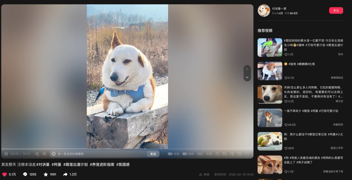BangarePrashant's tweet photo. 抖音很火的一只柯基 
只有一只耳朵是立起来的  
听说这是一条全球倒数第一好看的柯基📷 
由于只有一只耳朵是立起来的 
所以叫对讲基  
它讲成为下一个“fone”
把对讲基代币化 
https://t.co/L4bnXX8bmt https://t.co/1EYmdpTZ1m