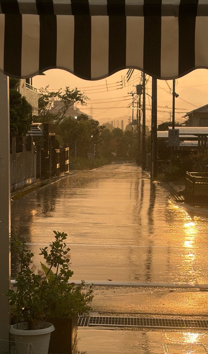 1515trn's tweet photo. 数ヶ月振りのまとまった雨ー
世界がセピア色みたいに見えて素敵🥺🧡 https://t.co/TbfE27iUls