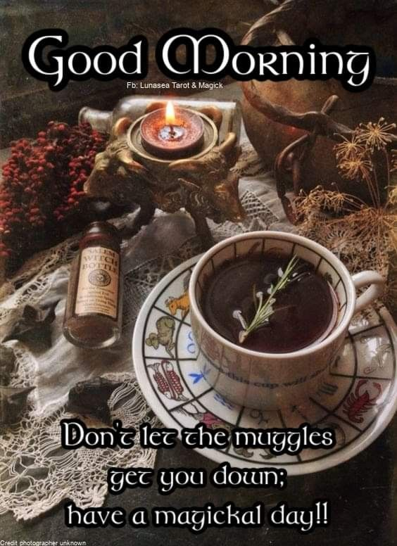 SubRosaMagick's tweet photo. #goodmorning #goodmorningwitches #GoodMorningEveryone #GoodMorningTwitterWorld #morningcoffee #morningbrew #MondayMorning #MondayVibes #mondaymagic #magicmonday #magickmonday #MondayVibes #moonday https://t.co/Rgc7foqcwL