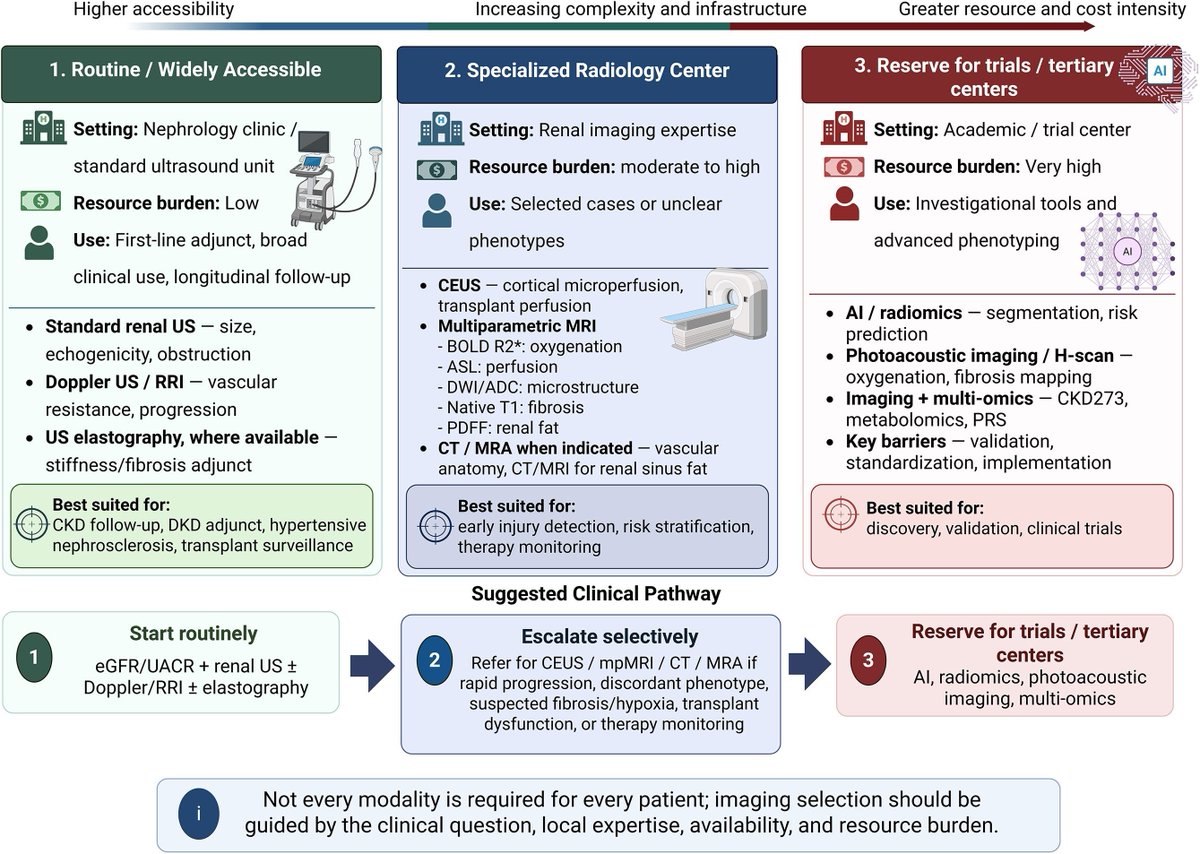 CKJsocial's tweet photo. Integrating kidney imaging for risk prediction, therapeutic monitoring, and prognostication across the kidney disease spectrum: a review of emerging evidence

https://t.co/tLtDFMj9pK https://t.co/74TPOq8xjY